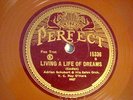 78 : PERFECT 15336-ADRIAN SCHUBERT-LIVING A LIFE OF DREAMS-HOT/IN MEMORY OF YOU