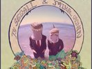 Ty Segall - Reverse Shark Attack, LP, (Vinyl)