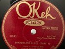 Beauty-Race Electric OKeh 8571 Troy Floyd-Shadowland Blues (San Antonio 1928)