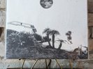 Timber Timbre - Hot Dreams Vinyl - Never Played - Near Mint