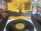 DAYS OF THE NEW Self Titled VG++ 2LP VINYL W/HYPE STICKER