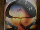 Cage The Elephant Neon Pill SIGNED COVER  Milky Clear Colored Vinyl