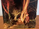 Echo And The Bunnymen Crocodiles LP 1981 Sire