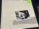 Fleetwood Mac TUSK Original  Double  Vinyl 1979 NEW SEALED  RARE Amazing  find