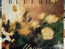 1994 Sarah Records Blueboy Unisex 12” Album Excellent Condition