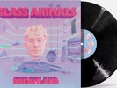 Glass Animals- Dreamland LP Album vinyl record 180gram 2022 black on Wolf Tone