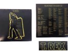 T Rex Electric Warrior Single LP Vinyl 12
