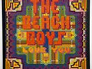Vtg 1977 THE BEACH BOYS Album LOVE YOU Record 1ST PRESSING Lp OG VINYL is MINT