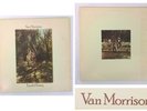 Van Morrison Tupelo Honey Single LP Vinyl 12
