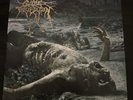 CATTLE DECAPITATION - THE ANTHROPOCENE EXTINCTION, COLOURED vinyl LP, 500 COPIES