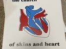 THE CHURCH Of Skins And Heart 1981/2024 White Vinyl LP Reissue Ltd Ed OOP NEW
