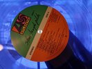 Stone Temple Pilots Purple Translucent Purple Vinyl 12