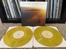 Saves the Day - Stay What You Are 2x 10” Vinyl LP, Yellow/Brown Swirl