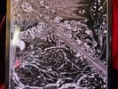 The Colour Out of Space, Cadabra Records 2 LP, HP Lovecraft, Like New