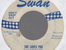 original BEATLES 45: SHE LOVES YOU / I'LL GET YOU / SWAN 5-41-52-1/BLUE PRINT/ex