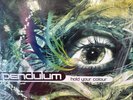 DRUM & BASS 3X12