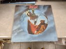 Meat Loaf RSD Bat Out Of Hell 2 Back Into Hell Vinyl Picture Disc Double NM