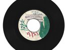 PIONEERS / DRIVEN BACK / TROUBLE DEY A BUSH / 7''