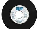 BARRY BROWN / WE'LL ALL FEEL THE PAIN / VERSION / 7''