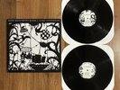 Dave Matthews Band - Come Tomorrow vinyl 2xLP record