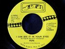 PEPE - I Can See It In Your Eyes Nr MINT scarce PSYCH edelic rock '76 Virtue 45