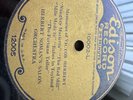 Edison Diamond Long Play 24 minutes Disc  nr 10002