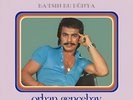 Orhan Gencebay Batsin Bu Dünya Türkische Arabesk Musik Schallplatte