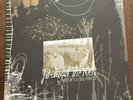 Portugal The Man Waiter You Vultures Clear Gold  Lp Vinyl Collective  2006