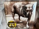 ALICE IN CHAINS Self Titled Tripod Vinyl EU In Shrink w/Hype and Poster (READ)