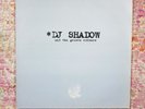 DJ Shadow & The Groove Robbers In/flux Hindsight 12