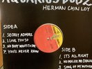Herman Chin Loy Aquarius Dub 2 Reggae Record