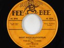 Doo-Wop 45 - Dell-Vikings - What Made Maggie Run - Fee Bee