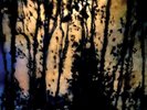 Mazzy Star Still (Vinyl) 12