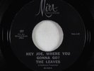 Garage 45 - Leaves - Hey Joe - Mira - 1st (whistle) version  VG+