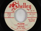 Garage Mod 45 - Andy Rose & the Thorns - Harem/Gal From Galilee - Shelley