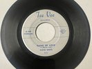 Floyd White 1958 DOO WOP 45  Pains Of Love / Hey Theresa TEE VEE VG++ HEAR