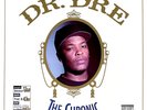 Dr. Dre The Chronic LP Album Vinyl Schallplatte 0118