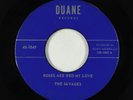 Garage Fuzz 45 - Savages - Roses Are Red My Love - Duane Bermuda - VG++ rare