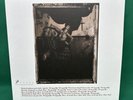 Surfer Rosa by Pixies LP Vinyl Record, 2004 Near Mint 180 Gram
