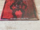 NEW MODEL ARMY BETWEEN WINE AND BLOOD 2 X VINYL LP JUSTIN SULLIVAN NEW & SEALED