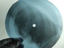 ELVIS LOVE ME TENDER X-Ray USSR Record Roentgen Bone Ribs Music Vinyl