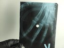 BOB DYLAN COUNTRY PIE X-Ray USSR Record Roentgen Bone Ribs Music Vinyl
