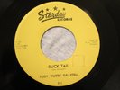 STARDAY 241 RUDY GRAYZELL Duck Tail / You're Gone   M-  ROCKABILLY