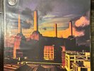 Pink Floyd Animals JC34474 RARE BLUE MARBLED LP   NM