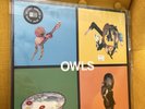 Owls Limited Edition Vinyl LP Cap'n Jazz - 2001 Rock Album