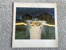Vinyl 12