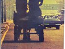 Vinyl Record Anymore For Anymore Ronnie Lane GML 1013 Classic Album