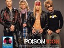 Poison - ICON (Walmart Exclusive) - Music & Performance - Vinyl [Exclusive]