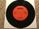 Section 8 For Father The Night Crawler RARE 1981 Private Press Punk 7