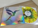 The Sherlocks -  Live For The Moment - Ltd Splatter Vinyl + Alternative Sleeve